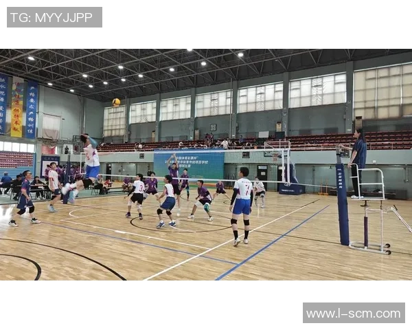 排球战术揭秘：深入分析北京排球队的制胜之道与训练秘诀